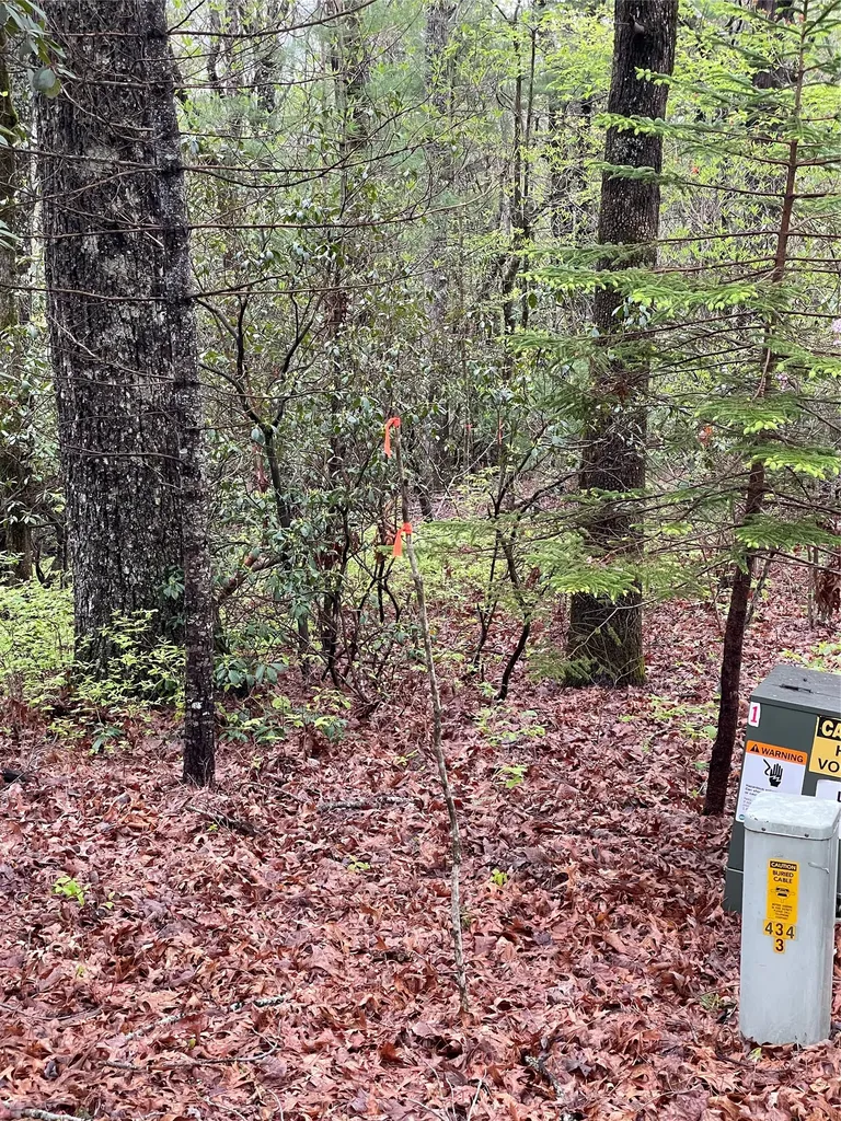 Lot 11 Cherokee Trace Lake Toxaway NC 28747