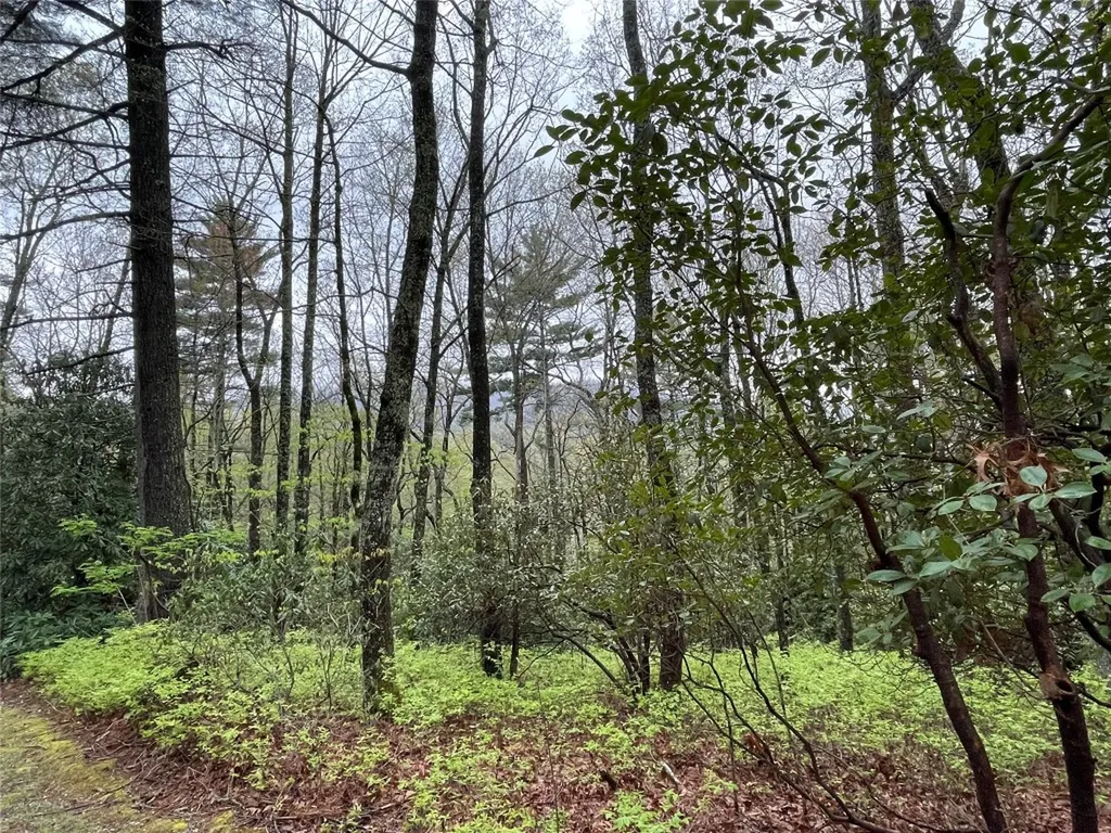 Lot 11 Cherokee Trace Lake Toxaway NC 28747
