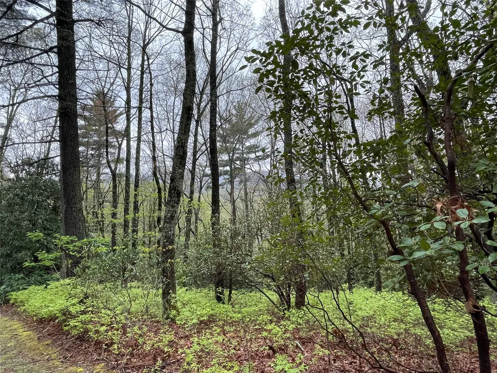 Lot 11 Cherokee Trace Lake Toxaway NC 28747