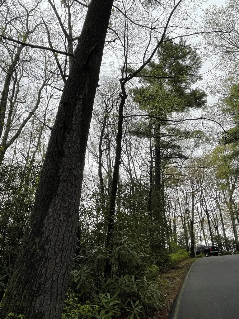 Lot 11 Cherokee Trace Lake Toxaway NC 28747