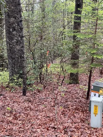 Lot 11 Cherokee Trace Lake Toxaway NC 28747