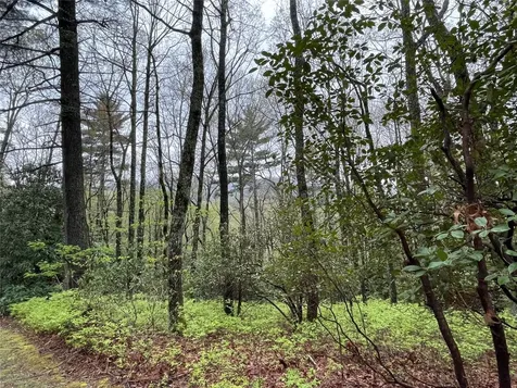 Lot 11 Cherokee Trace Lake Toxaway NC 28747