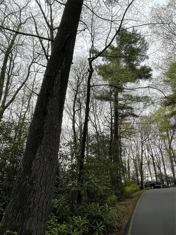 Lot 11 Cherokee Trace Lake Toxaway NC 28747