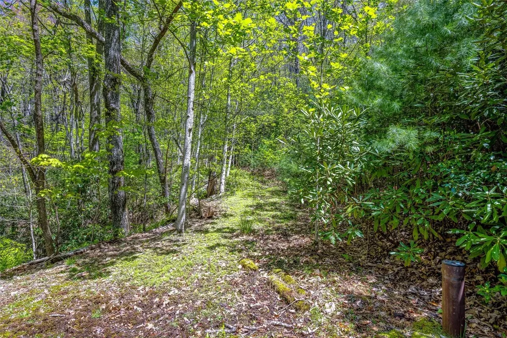 Lot 3a Mountain View Road Lake Toxaway NC 28747