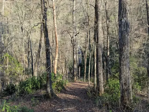 Tbd W Fork Bend Cullowhee NC 28723