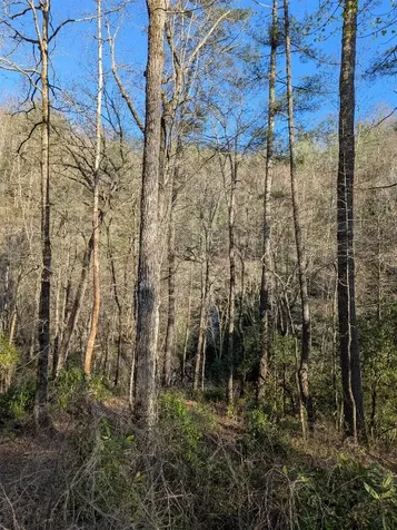 Tbd W Fork Bend Cullowhee NC 28723