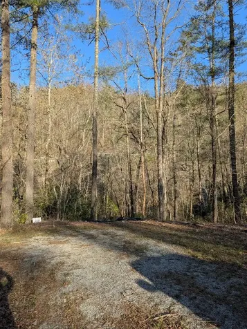 Tbd W Fork Bend Cullowhee NC 28723