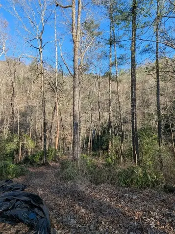 Tbd W Fork Bend Cullowhee NC 28723