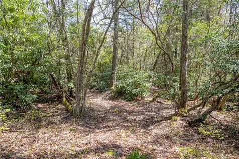 340 Outpost Trail Glenville NC 28736