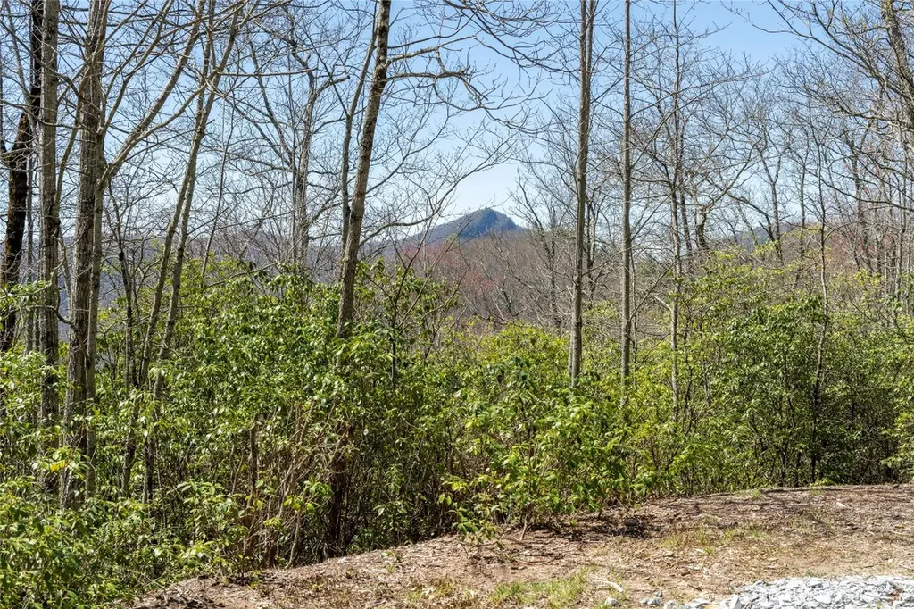 3 Big Granite Court Sapphire NC 28774