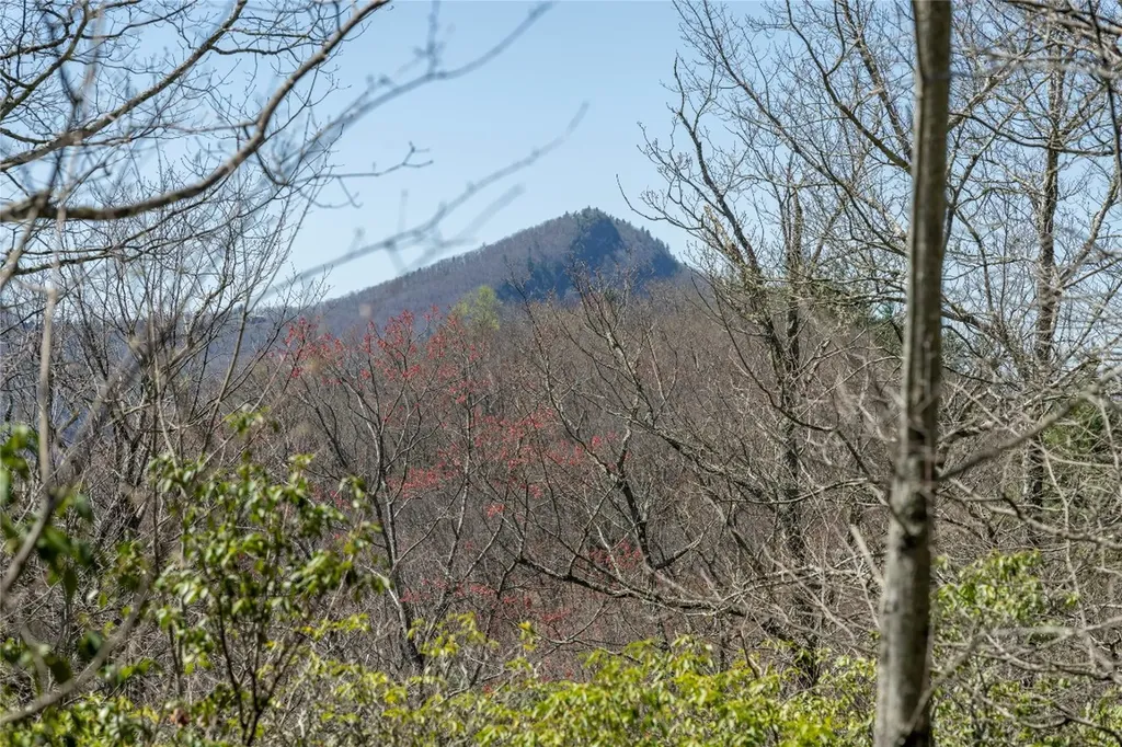 3 Big Granite Court Sapphire NC 28774