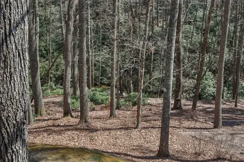 649 Wild River Road Cashiers NC 28717