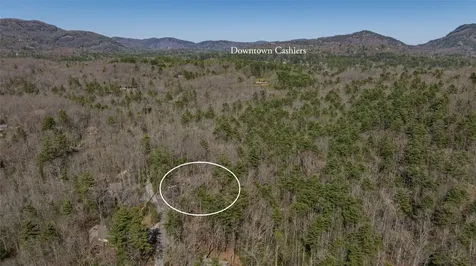 649 Wild River Road Cashiers NC 28717