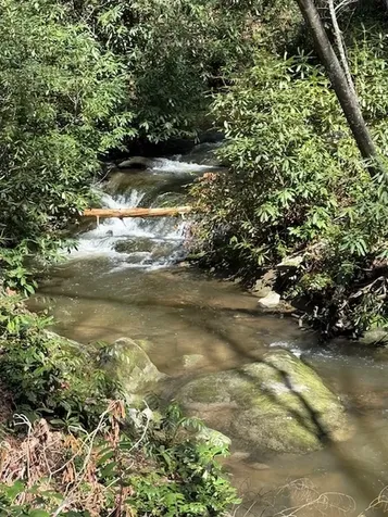 649 Wild River Road Cashiers NC 28717