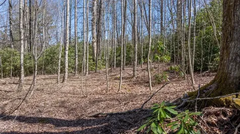 23&24 Shelby Drive Highlands NC 28741