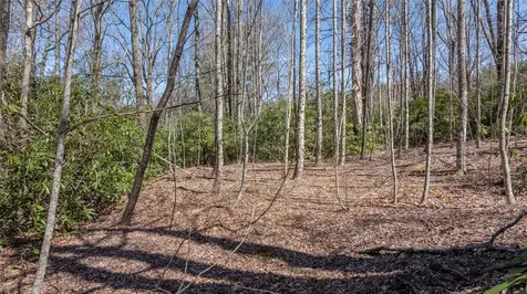 23&24 Shelby Drive Highlands NC 28741