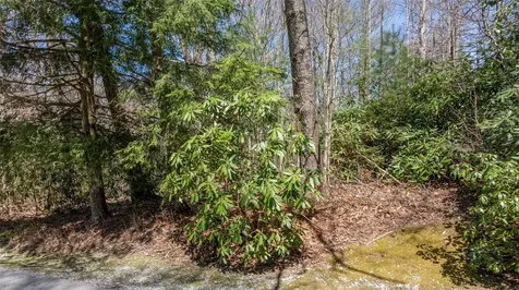 23&24 Shelby Drive Highlands NC 28741