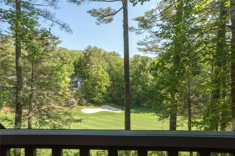 105 S River Park Villas Drive Sapphire NC 28774