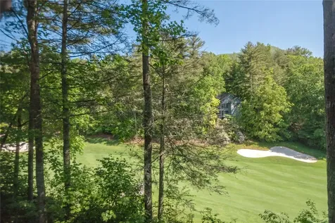 105 S River Park Villas Drive Sapphire NC 28774