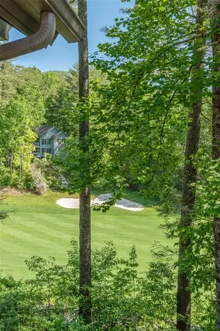 105 S River Park Villas Drive Sapphire NC 28774