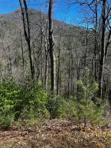 4 Highlands Gate Drive Highlands NC 28741