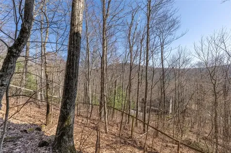 83 Flyaway Circle Sapphire NC 28774