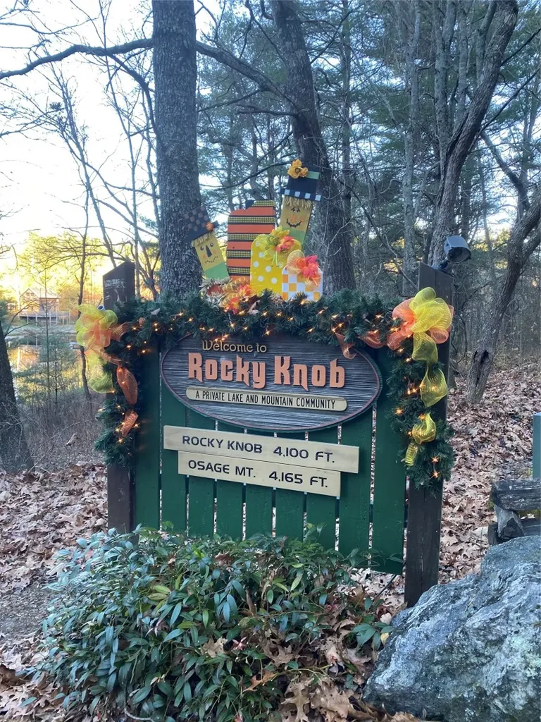 Tbd Strawberry Branch Scaly Mountain NC 28775