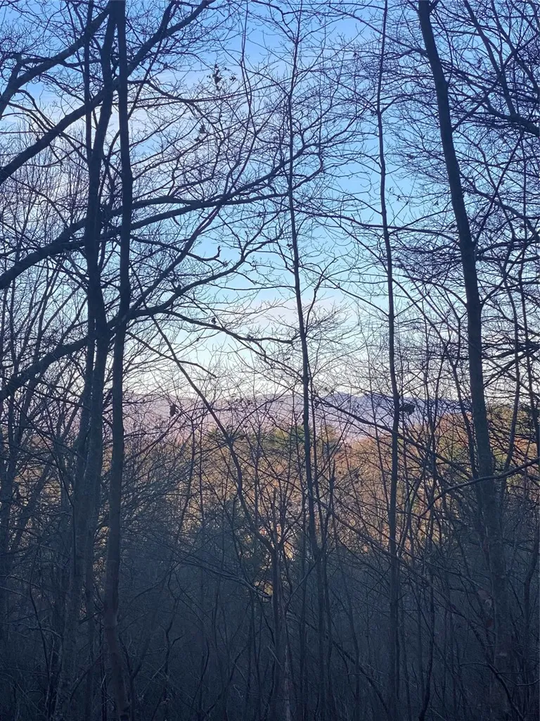 Tbd Strawberry Branch Scaly Mountain NC 28775