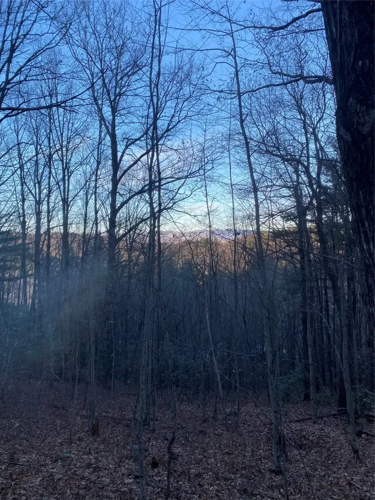 Tbd Strawberry Branch Scaly Mountain NC 28775