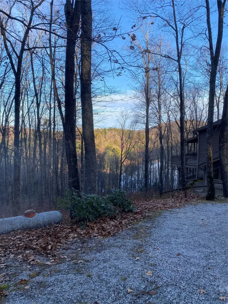 Tbd Strawberry Branch Scaly Mountain NC 28775