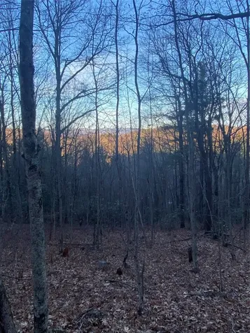 Tbd Strawberry Branch Scaly Mountain NC 28775