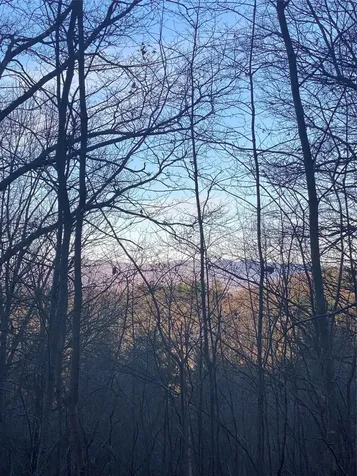 Tbd Strawberry Branch Scaly Mountain NC 28775