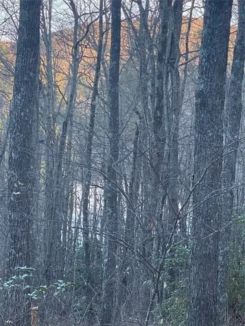 Tbd Strawberry Branch Scaly Mountain NC 28775