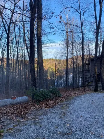 Tbd Strawberry Branch Scaly Mountain NC 28775