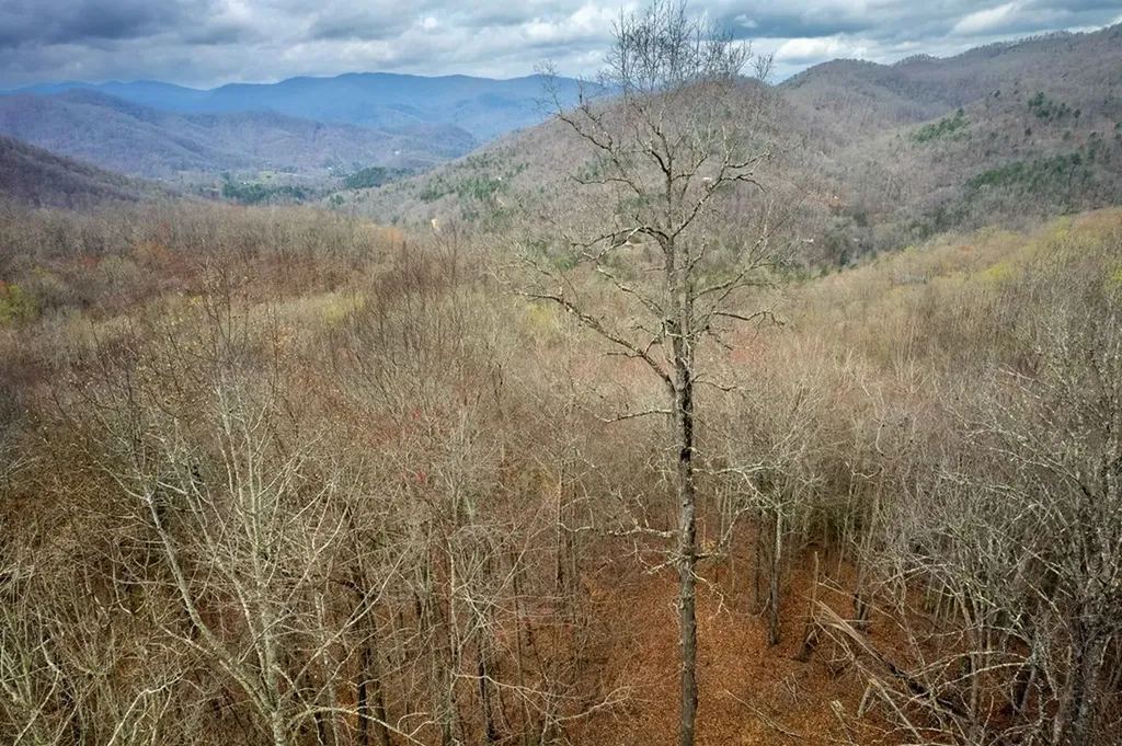 11 Stone Pillow Road Tuckasegee NC 28783