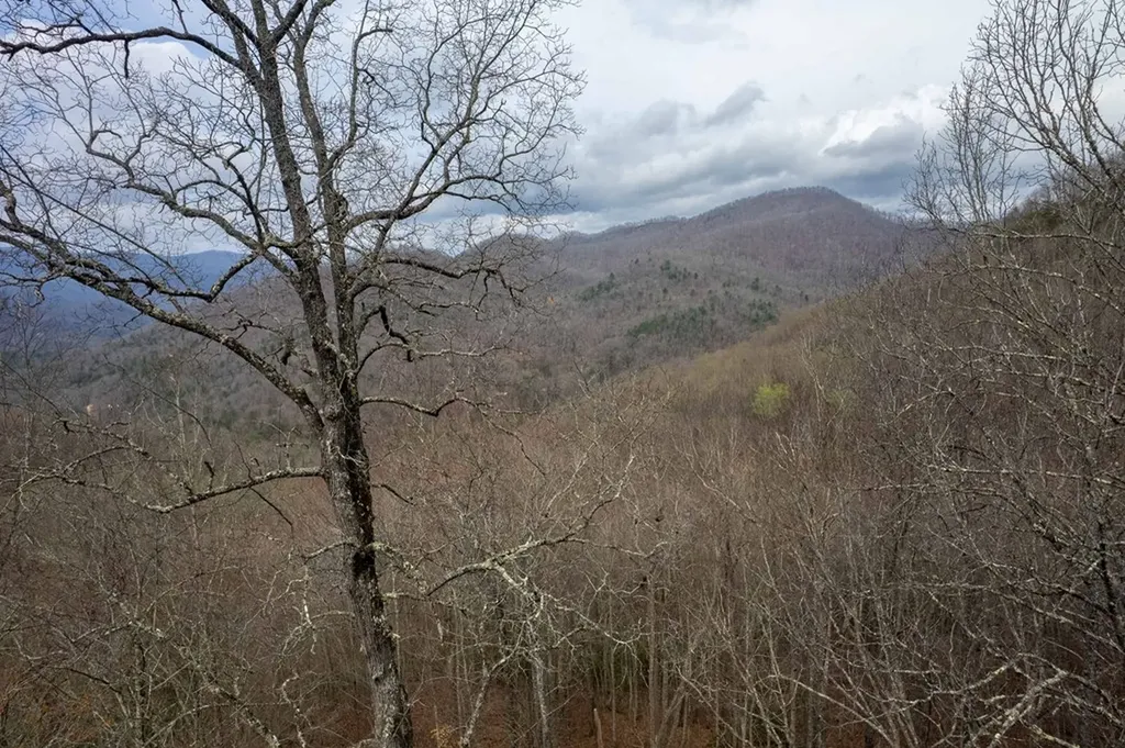 11 Stone Pillow Road Tuckasegee NC 28783