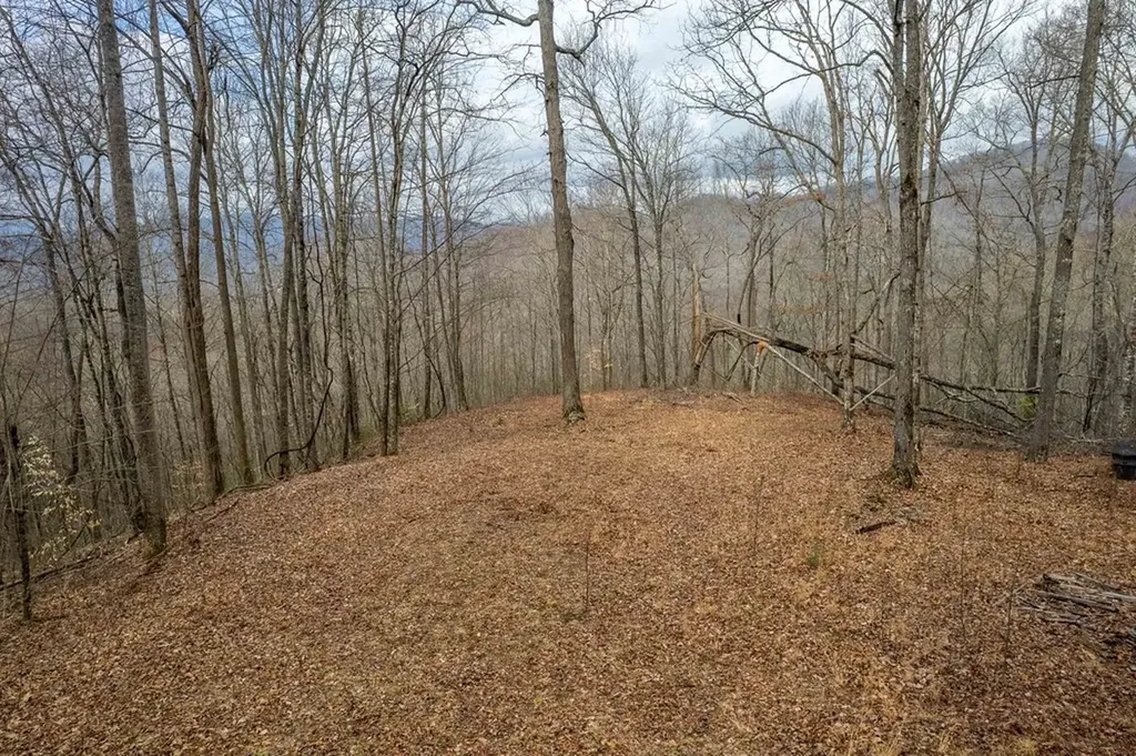 11 Stone Pillow Road Tuckasegee NC 28783