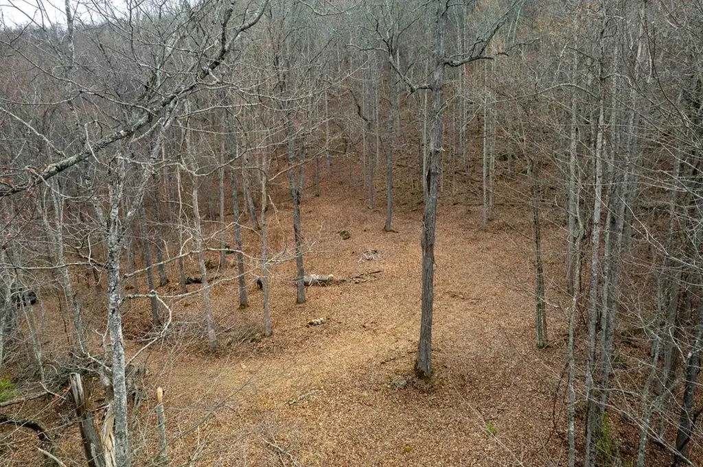 11 Stone Pillow Road Tuckasegee NC 28783