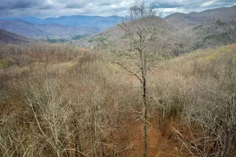 11 Stone Pillow Road Tuckasegee NC 28783