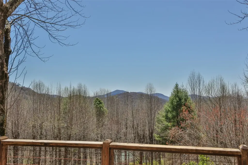 551 Bob Long Mountain Road Scaly Mountain NC 28775
