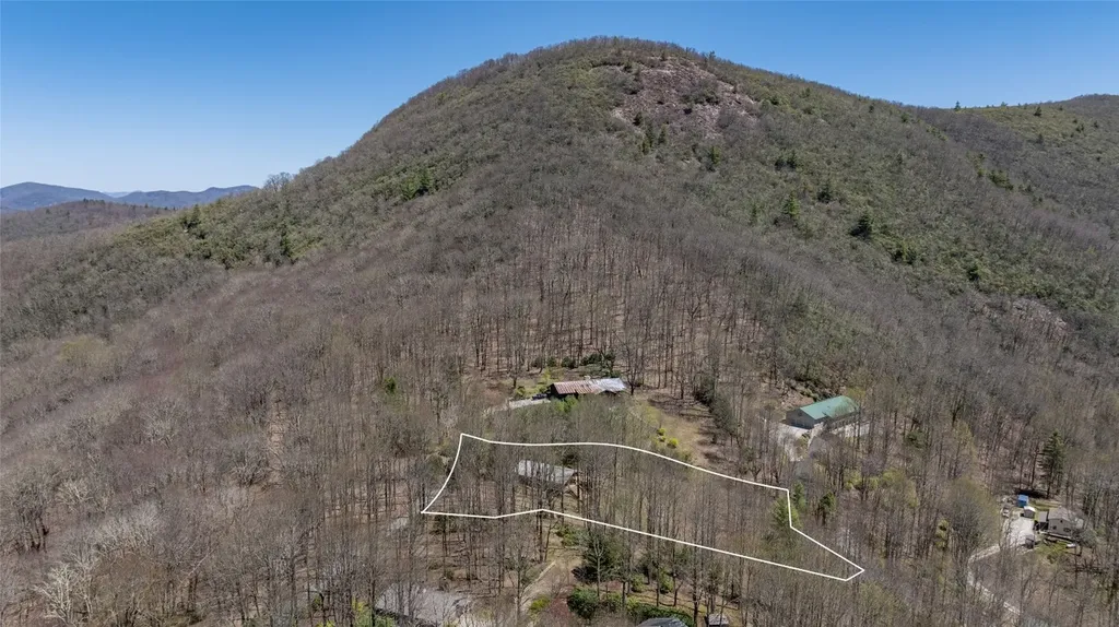 551 Bob Long Mountain Road Scaly Mountain NC 28775