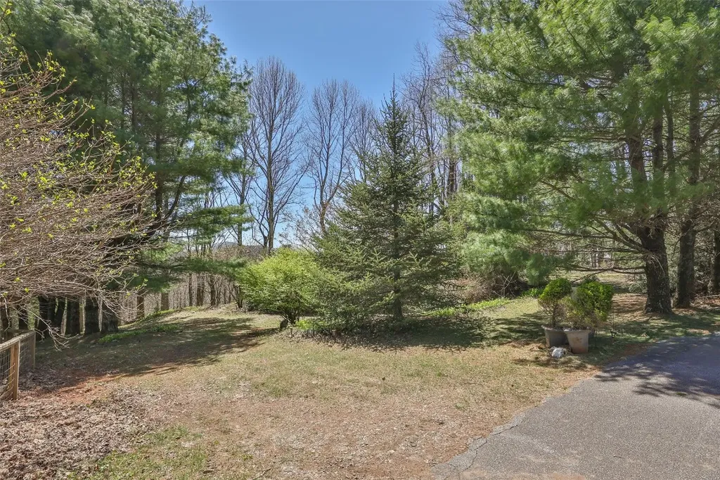 551 Bob Long Mountain Road Scaly Mountain NC 28775