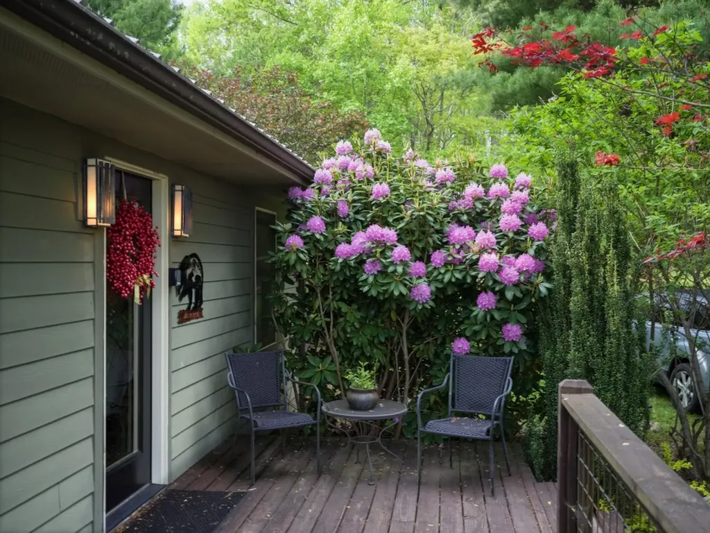 551 Bob Long Mountain Road Scaly Mountain NC 28775