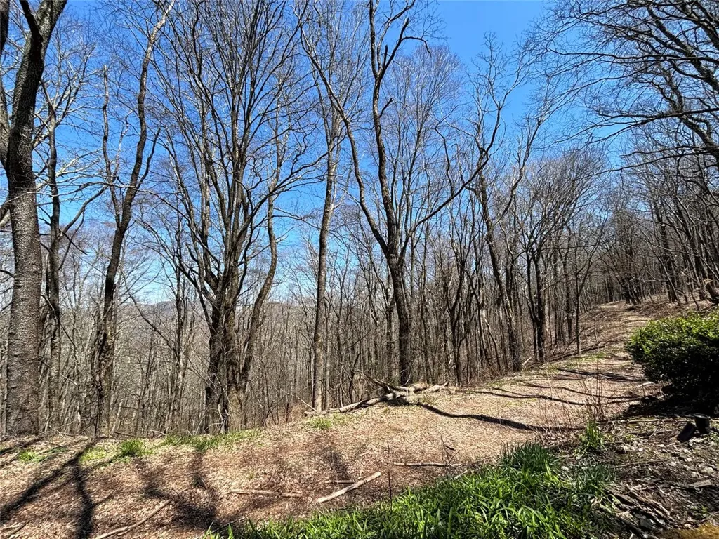 551 Bob Long Mountain Road Scaly Mountain NC 28775