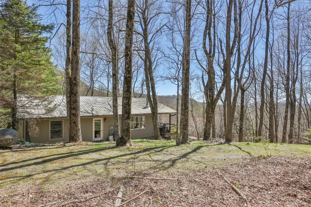 551 Bob Long Mountain Road Scaly Mountain NC 28775