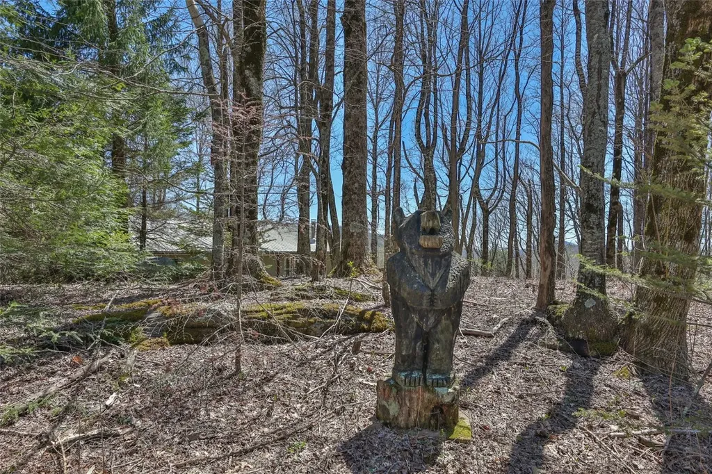 551 Bob Long Mountain Road Scaly Mountain NC 28775