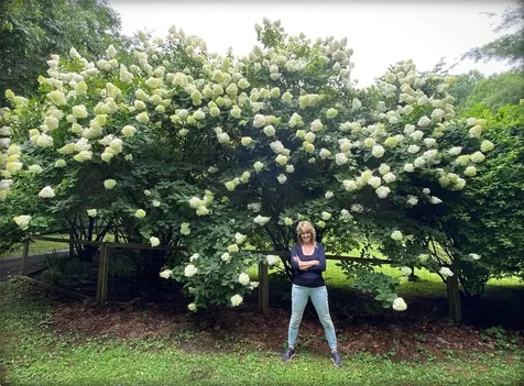 551 Bob Long Mountain Road Scaly Mountain NC 28775