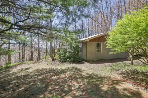 551 Bob Long Mountain Road Scaly Mountain NC 28775