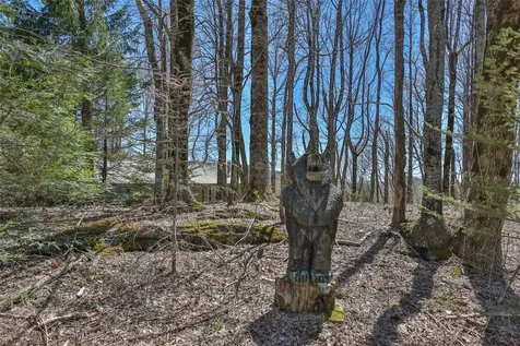 551 Bob Long Mountain Road Scaly Mountain NC 28775