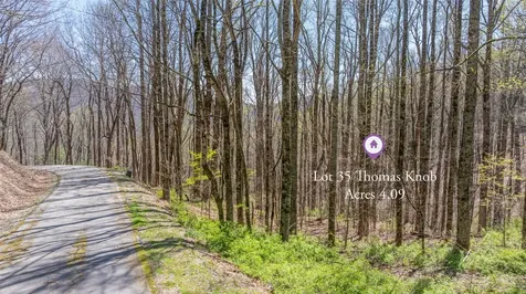 Lot 35 Thomas Knob Scaly Mountain NC 28775